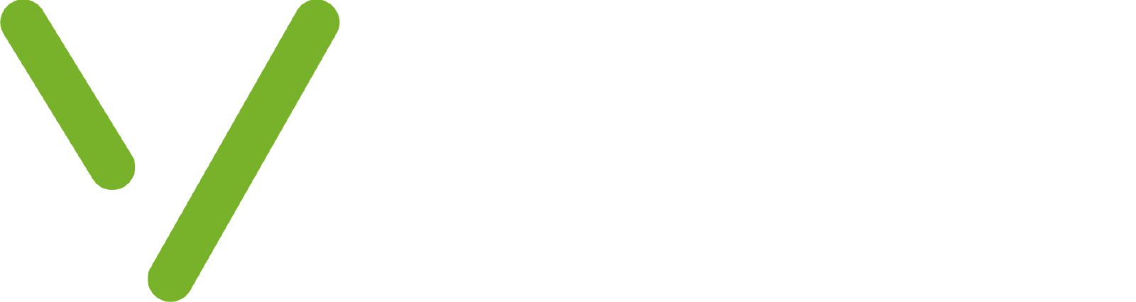 The Vineyard Store Logo